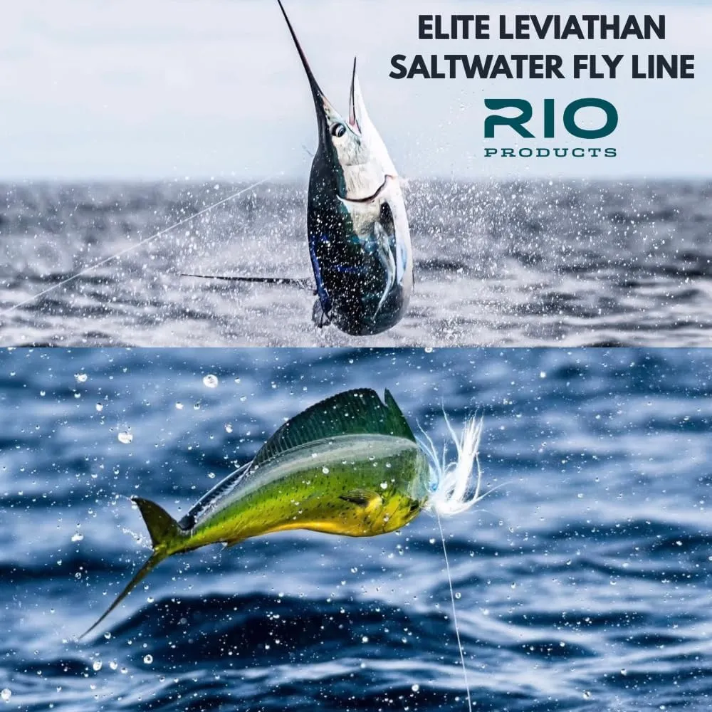 RIO Products Elite Leviathan - Tropical Series Saltwater Fly Line - Designed to Target Large Tropical Species - Low Stretch and Ultra Slick Performance - Easy Casting Fly Fishing Line