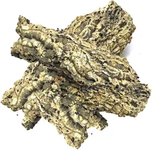 The Bio Dude Virgin Cork Bark Flats - 1 Pound (2-3 PCS) - Amphibians, Reptiles, Orchids, Bromeliads and Terrariums